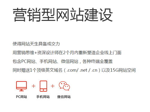 网络推广服务公司 信息技术时代的企业助推器